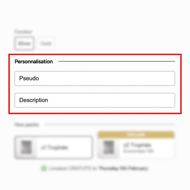 Étape 2 : Entrez votre personnalisation